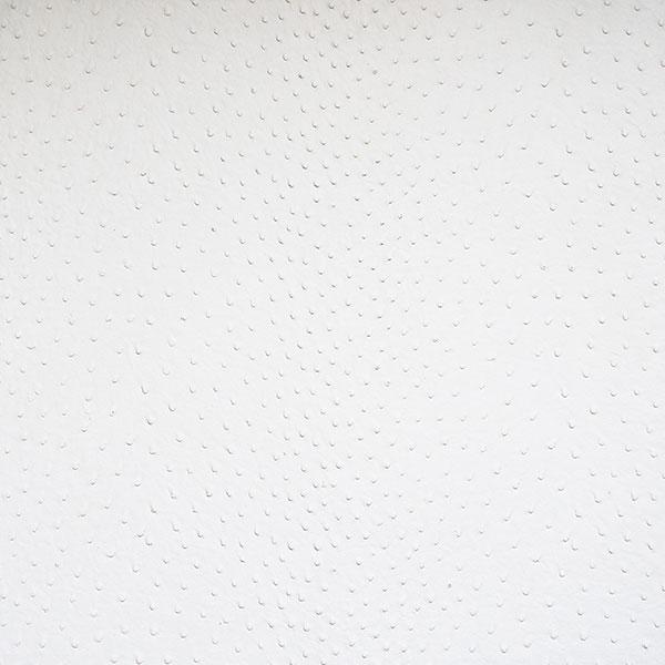 Béton effet cuir autruche blanc